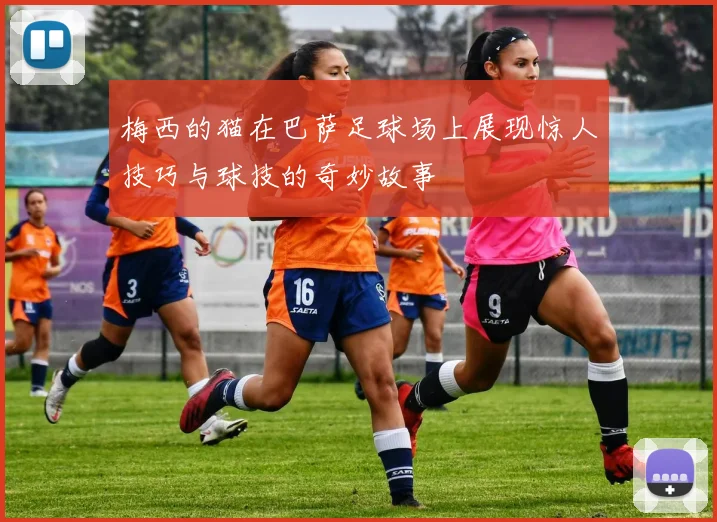 梅西的猫在巴萨足球场上展现惊人技巧与球技的奇妙故事