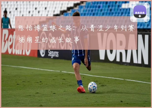 陈怡博篮球之路：从青涩少年到赛场明星的成长故事