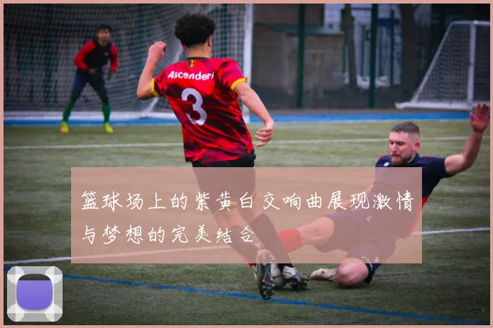 篮球场上的紫黄白交响曲展现激情与梦想的完美结合