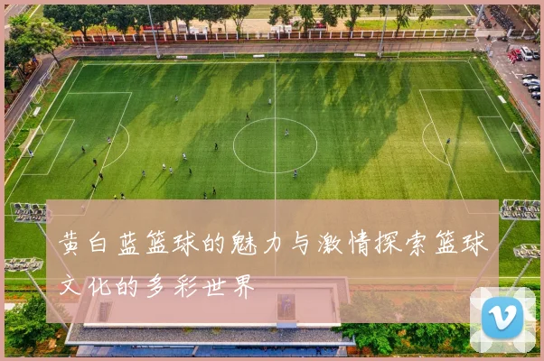黄白蓝篮球的魅力与激情探索篮球文化的多彩世界