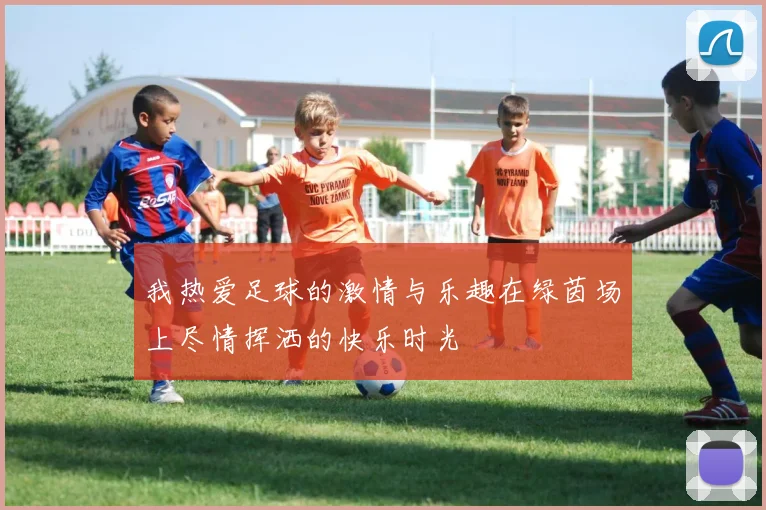 我热爱足球的激情与乐趣在绿茵场上尽情挥洒的快乐时光